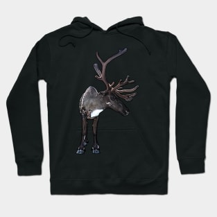 Santa Claus Reindeer Hoodie